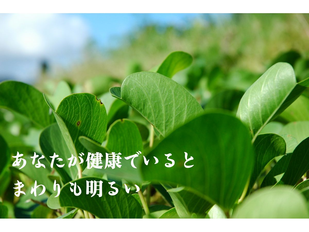 bind_free086.jpg